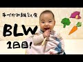 【手づかみ離乳食】BLWの１日目ってどうなる！？The first day of BLW.