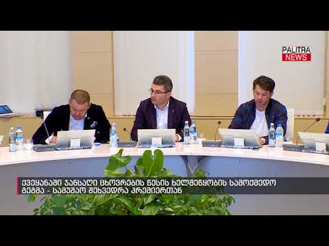 ქვეყანაში ჯანსაღი ცხოვრების წესის ხელშეწყობის სამოქმედო გეგმა - სამუშაო შეხვედრა პრემიერთან