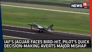 IAF's Jaguar Faces Bird-Hit, Pilot's Quick Decision-Making Averts Major Mishap