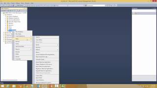 Detaching and Attaching Microsoft Sql Server 2012 Demo
