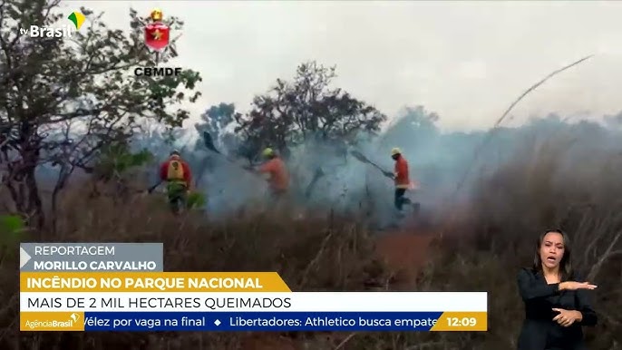 Flona e Parque Nacional de Brasília vão a leilão. Entenda o que muda