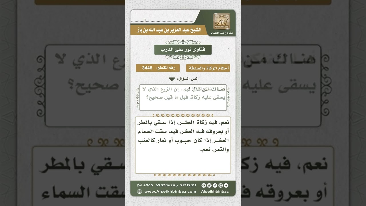 3446 - حكم زكاة ما سقي بالمطر   - نور على الدرب