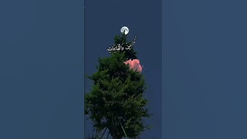 الشيخ سيد سعيد _ سورة الأحزاب