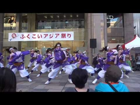 ふくこい連「ふくこい花宴」ふくこいアジア祭り2013