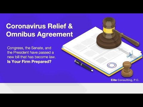 Coronavirus Relief & Omnibus Agreement – Webinar by Telma Landhorian (Elite Consulting P.C.)