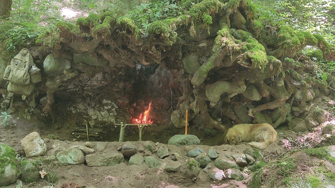 Camping Under the Rocks and Giant Tree and Survive in the Jungle - YouTube