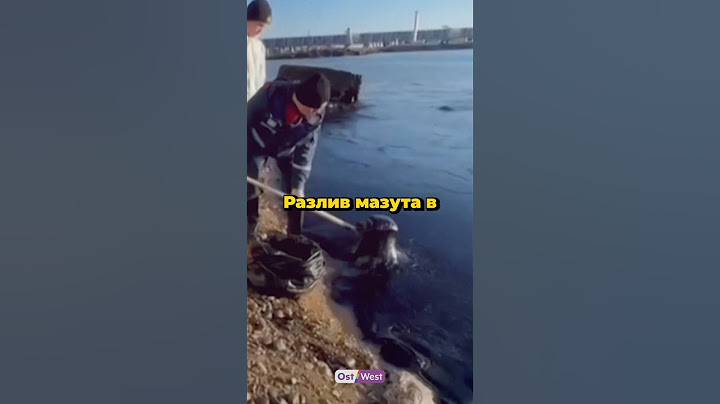 Разлив мазута в Черном море — что же произошло и что будет с курортными зонами