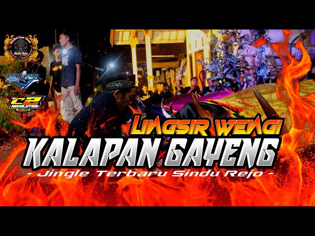 DJ BANTENGAN KALAPAN ‼️'SINDU REJO' ( LINGSIR WENGI ) FT C² REVOLUTION class=