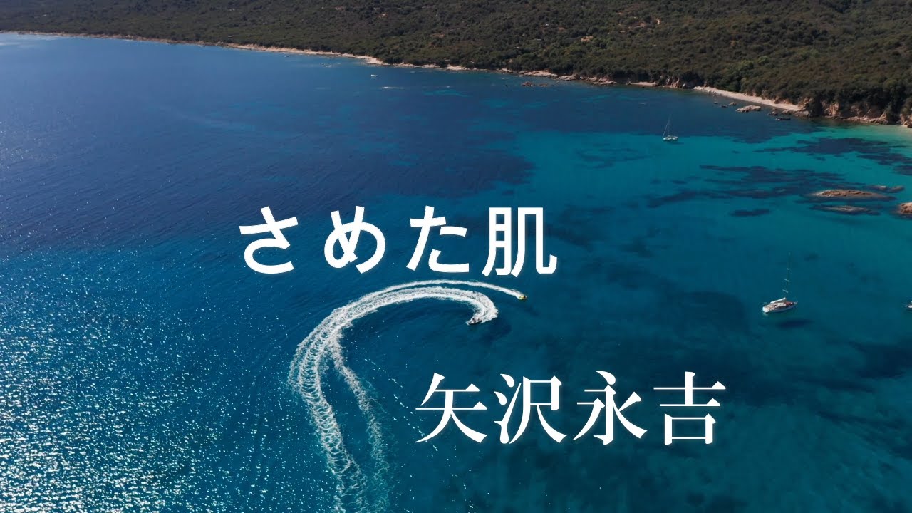 さめた肌  (カラオケ)  矢沢永吉 (歌詞字幕付き)