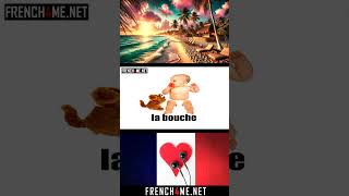 Learn French At The Beach | The Body # Vol 1