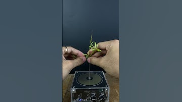 Music Tesla Coil Testing #experiment #testing #lightning #shorts