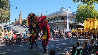 Lion & Dragon Dance parade at Bendigo Easter Parade 2024 #liondance #easter #parade