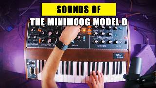 The Legendary Moog Model D - Sound Demo