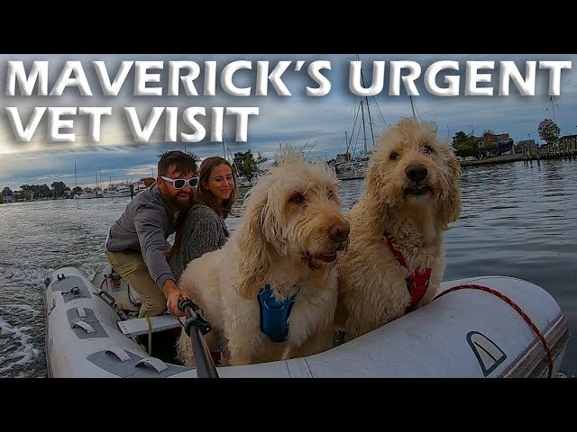Maverick’s Urgent Vet Visit – S5:E04