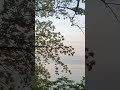 #calm start to the day on #lakeerie 🍇 🍇 🍇