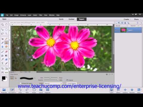 Adobe Photoshop Elements 12 Tutorial Manipulating Images Employee Group Training 13.12