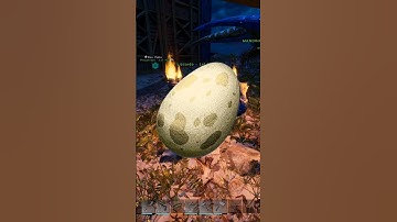 How To Hatch An EGG - ARK SURVIVAL ASCENDED TUTORIAL