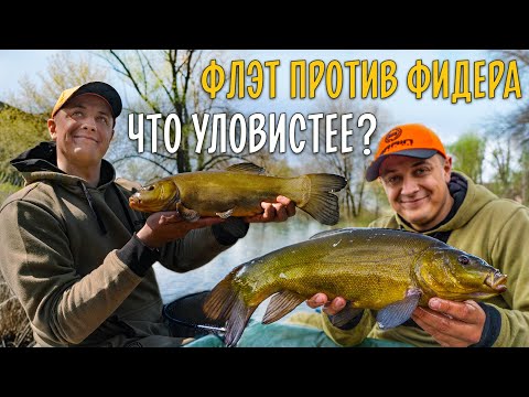 Video: Мышыктар жай фидер менен арыктай алабы?