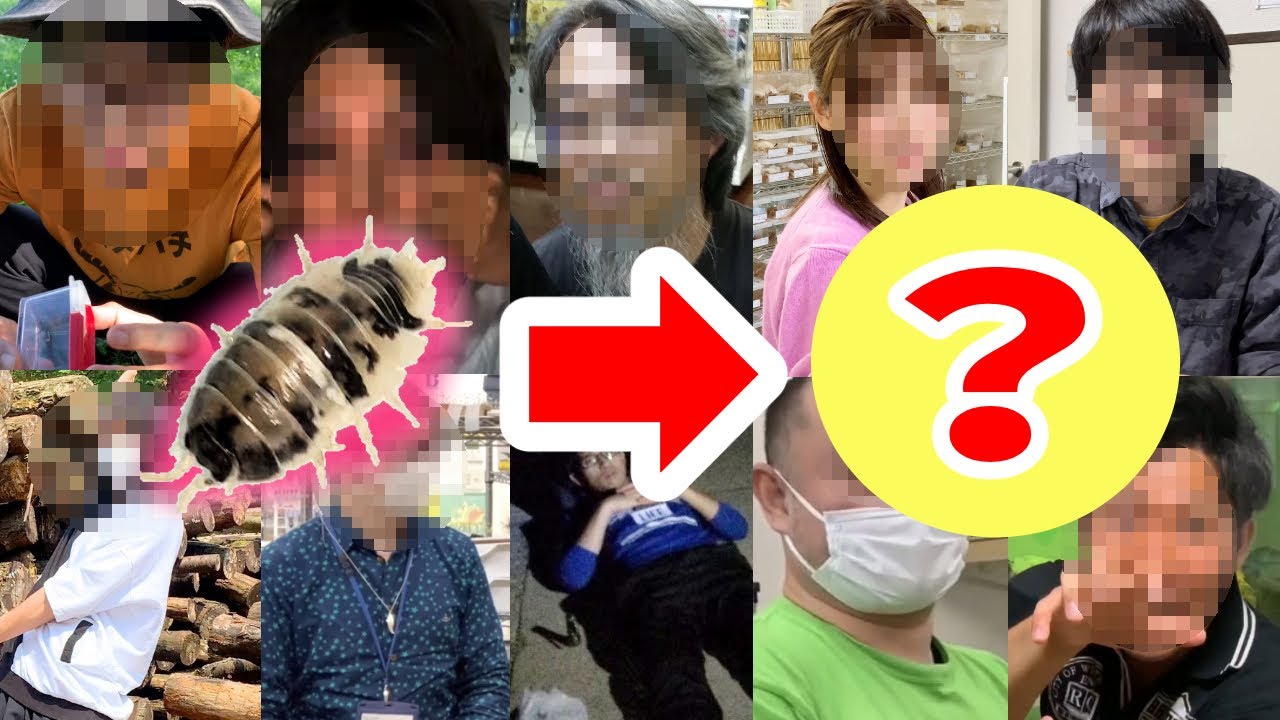 その辺で捕まえたワラジムシを１０回交換してみた結果！！！