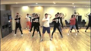 PSY - Gangnam Style mirrored Dance Practice