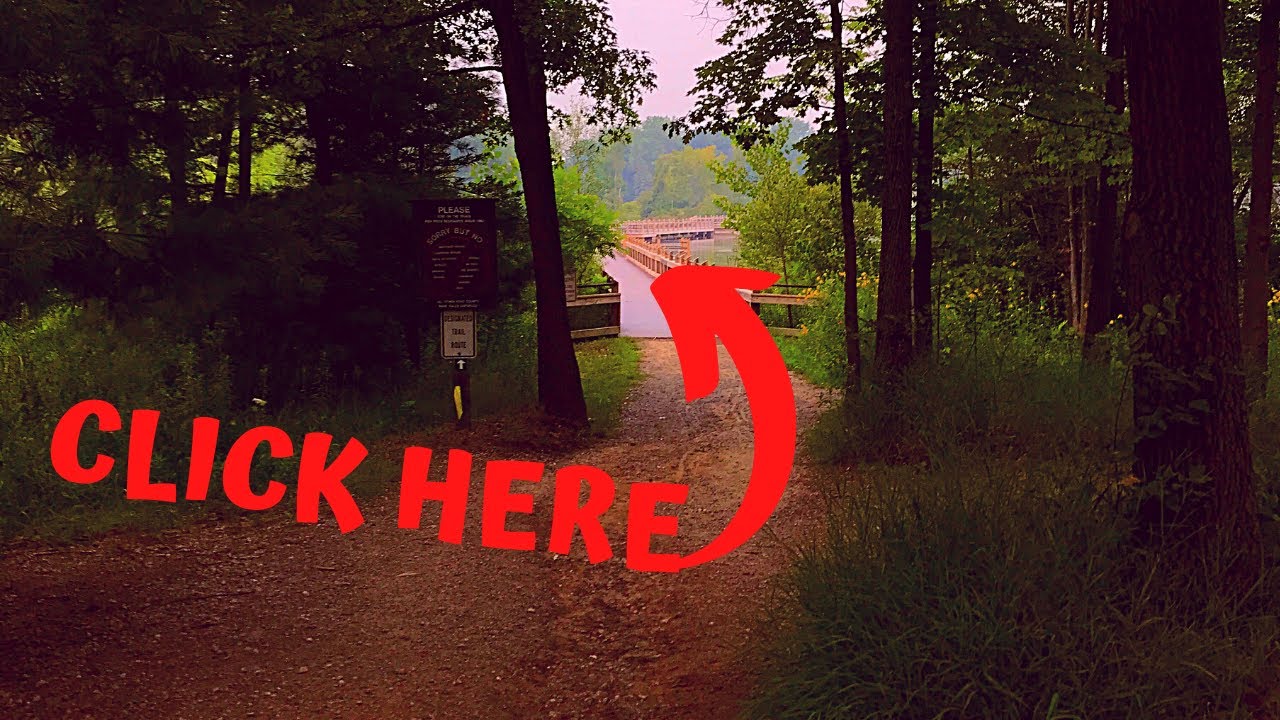 Hiking Pickerel Lake Park A K A  Fred Meijer Nature Preserve Our Adventure in an 80 Acre Park