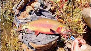 INCREDIBLE Catch & Cook Colorado Trout at 12K Feet! Tenkara Fly Fishing in the Colorado Rockies