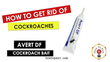 How to Get Rid of Cockroaches – Avert DF Dry Flowable Bait (BASF Pro Guide)