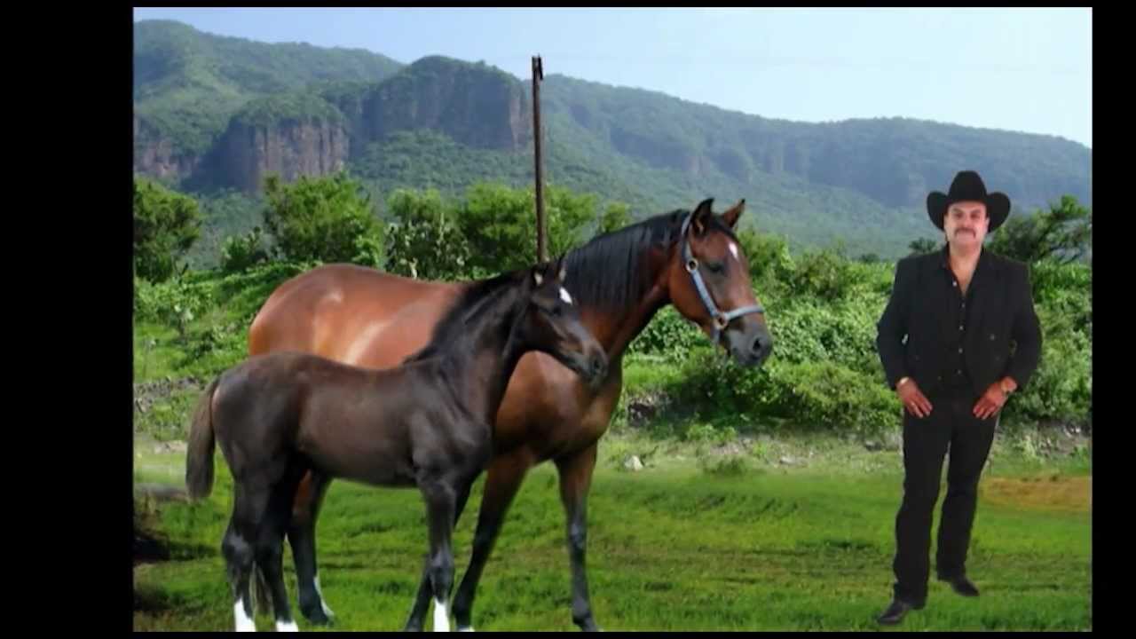 El Charro Estrada_El Bajio De San Jose Jalisco YouTube El Charro Estrada_El Bajio De San Jose Jalisco YouTube
