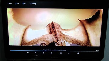 Antutu Video Tester 3.0 results on Eny EA05 TV Box with RK3368 octa core CPU