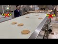 Línea de Alimentación Automática para Galletas | Maquinaria Profesional | SKYWIN Machinery 2026