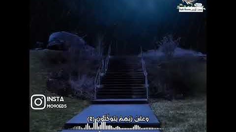إنما المؤمنون الذين اذا ذكر الله وجلت قلوبهم || القارئ شريف مصطفي ||سورة الأنفال مقطع قرآن قصیر