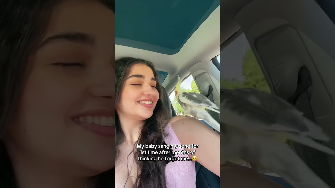 My Bird Singing WITH ME For The 1st Time 