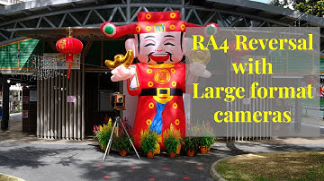 RA4 Reversal with large format cameras
