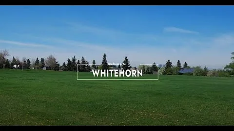 Calgary Community Spotlight - Whitehorn - John Hri...