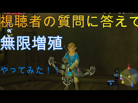【ブレワイ】　無限増殖とかいう神バグ技やってみた！！　　　　　　【botw】【ゼルダの伝説ブレスオブザワイルド】【ゼルダで全てを変える】【神ゲー】
