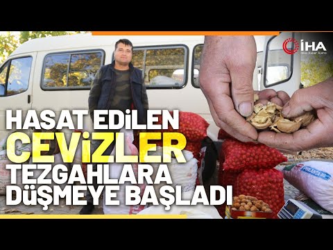 Kabuğuna Sığmayan Lezzete Yoğun Talep