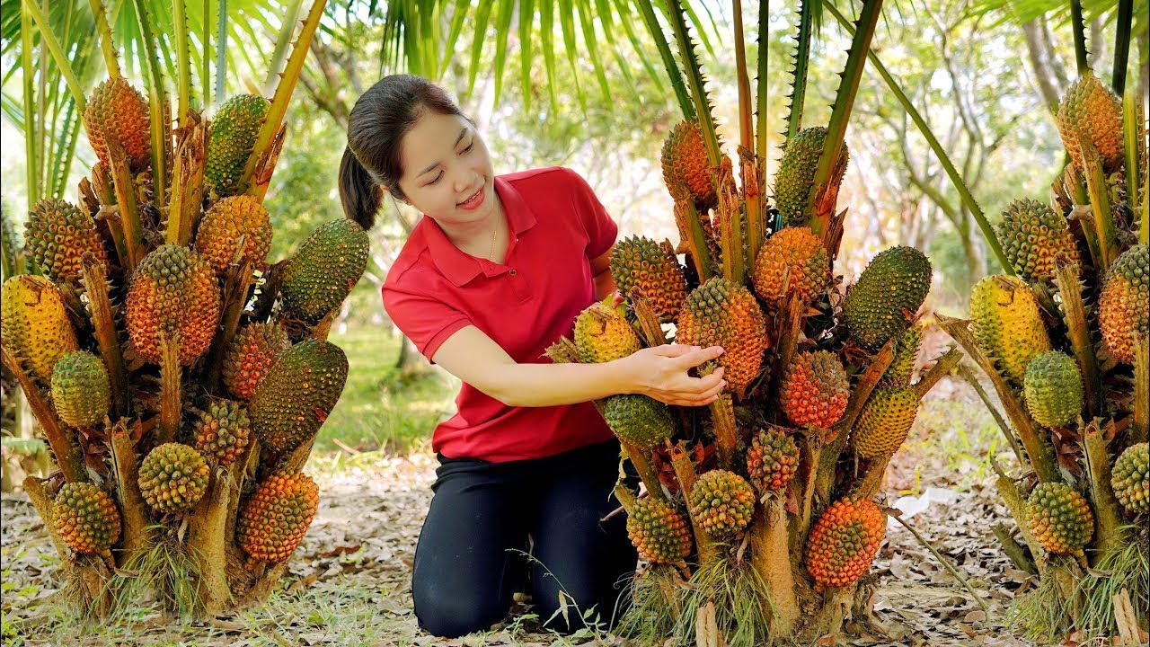 Harvesting Pineapples & Go to Market Sell - Prepare Dishes From Pineapple - Han Harvesting
