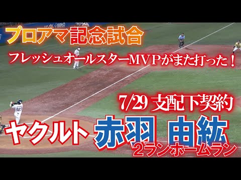 支配下なり躍動！　ヤクルト赤羽 由紘　２ランホームラン　【 プロアマ記念試合】　フレッシュオールスターMVP　　7月29日支配下選手契約