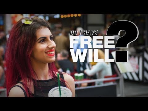 Do I Have Free Will? (Street Interviews)