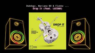 DUBDOGZ X MARIANA BO X FLAKKE X LUISAH DROP IT (📀DRG HQ AUDIO📀)