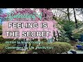Neville Goddard - Feeling is the Secret COMMENTARY (with a Countryside Sakura Walk in Japan🌸)