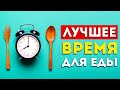 Ученые назвали лучшее время для еды (Это интересно)