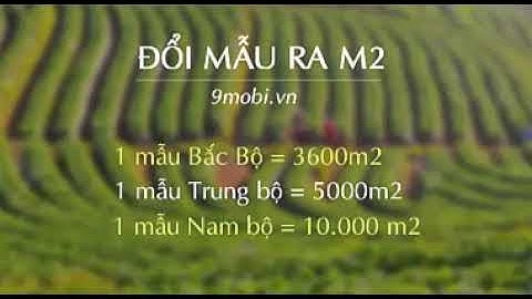 Một mẫu bằng bao nhiêu mét vuông năm 2024