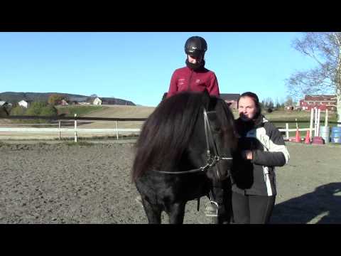 Video: Hvordan Ri En Hest Som En Ordentlig Gentleman