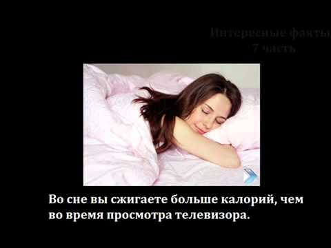 Интересные факты 7 часть