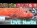 ✈️成田空港📸生中継 Narita International Airport 🛫Live【Gibson Narita】