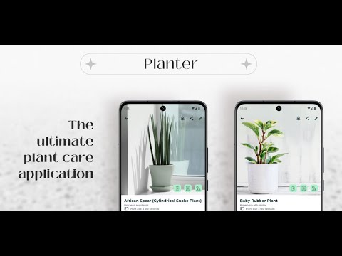 Plantador: Notas e cuidados com plantas