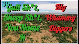 Big Whammy Diggers - Episode 30 - Gull Sh#t, Sheep Sh#t, You Name It