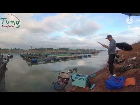 Video Trải nghiệm cần câu Gama Seiko Hoàng Long- Câu cá hồ... - youtube