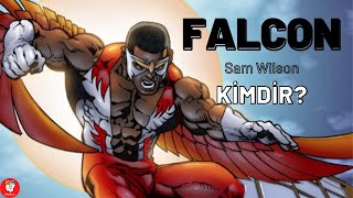 FALCON-SAM WILSON Kimdir